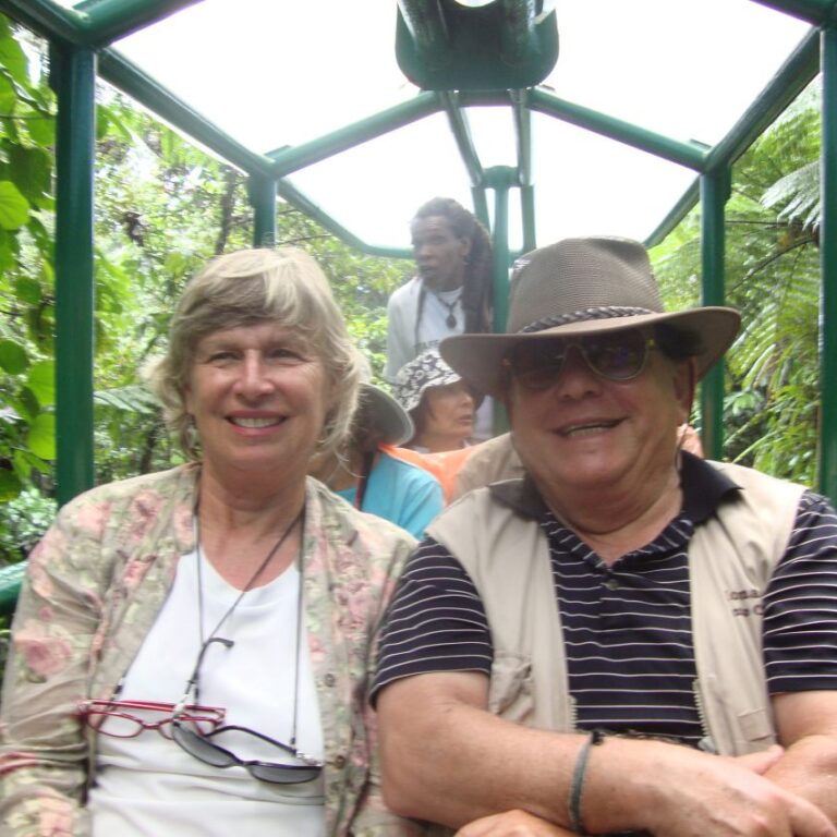 מסע על ראשי העצים בג'ונגל הקאריבי