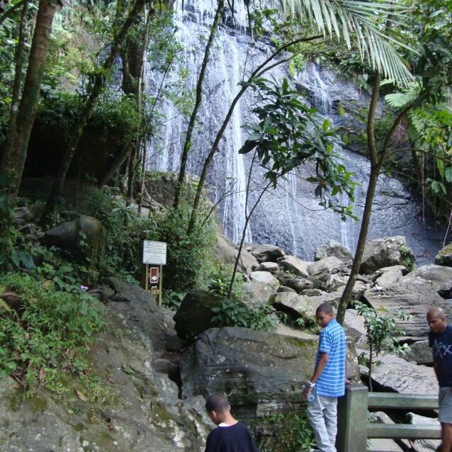 מפל באי טרנידד