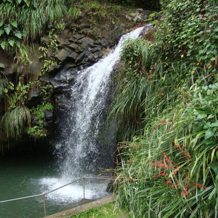 מפלון בג'מייקה