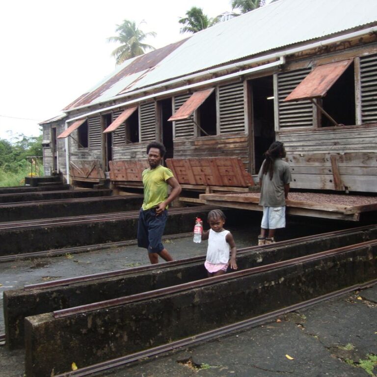 מפעל פירות באי קאריבי סט. קיט