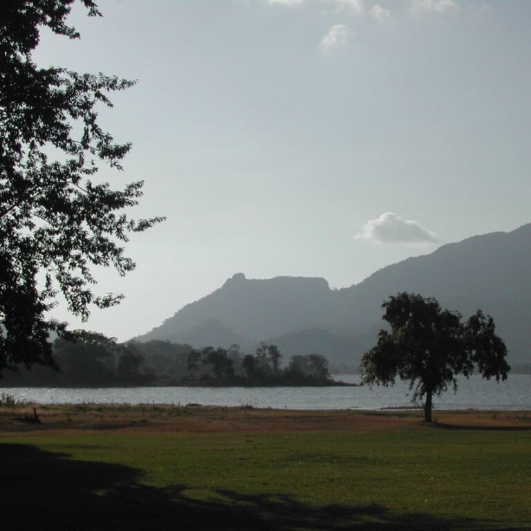 מקווי מים מלאכותיים שבנו מלכים קדומים לשנות בצורת