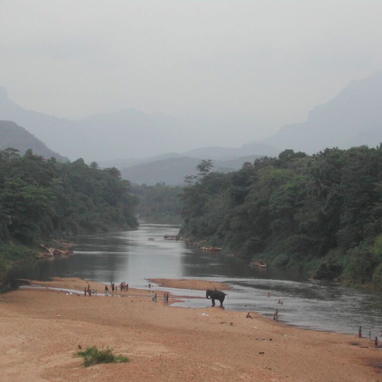 נוף הטבע הפראי בסרילנקה