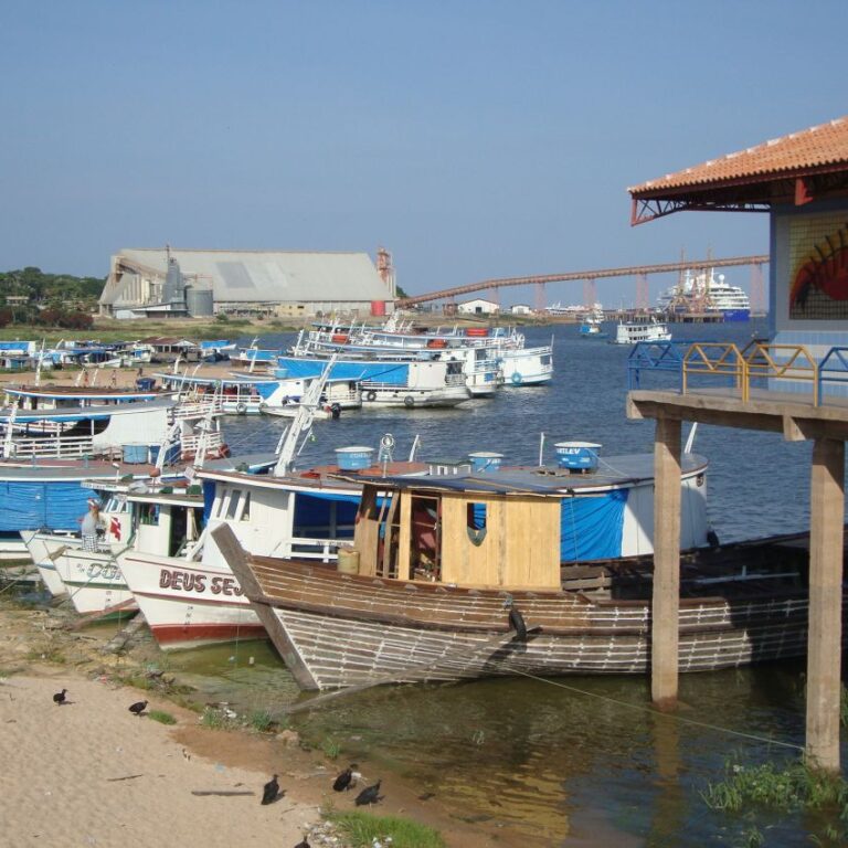 נמל דייגים באמזונס