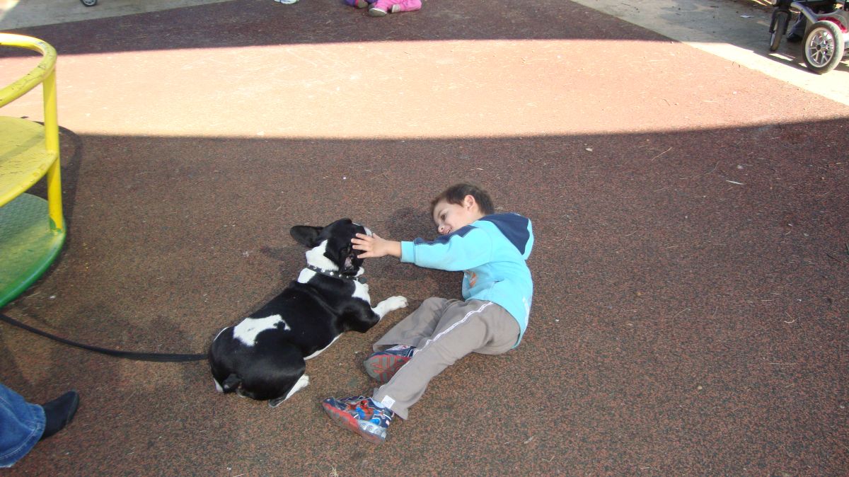 עומר מתאהב בכלב