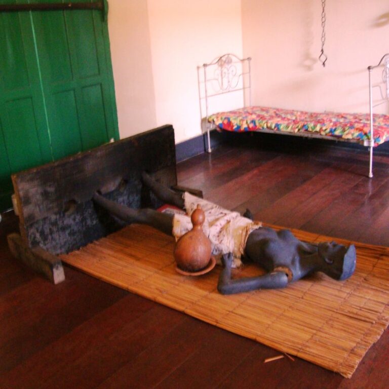 עינויי שפחות סרבניות במטעי האמזונס