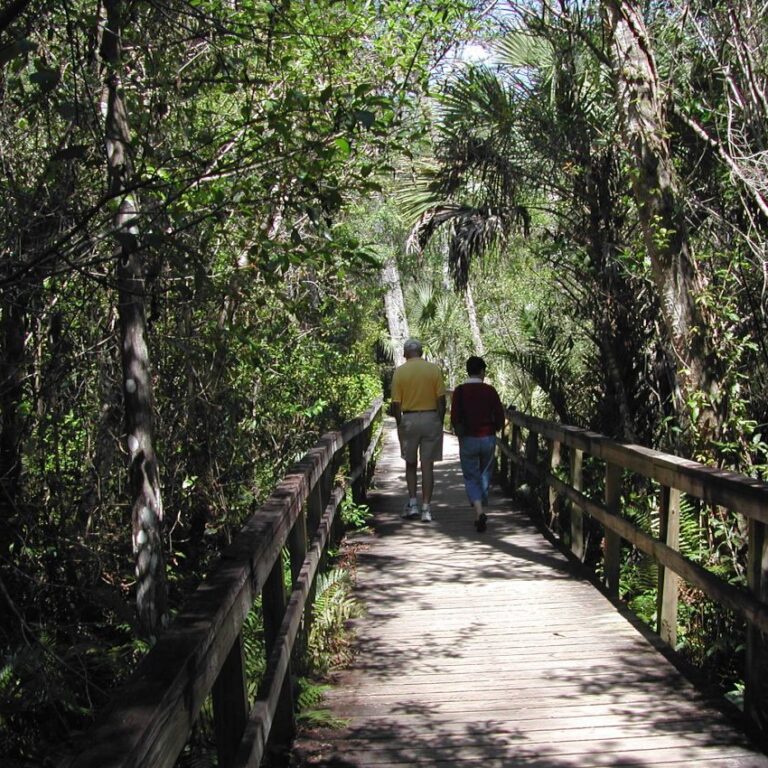 פארק באי נאסאו