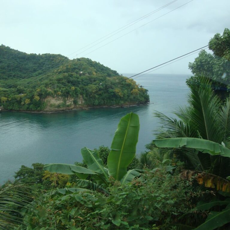 פינת חמד בג'מייקה