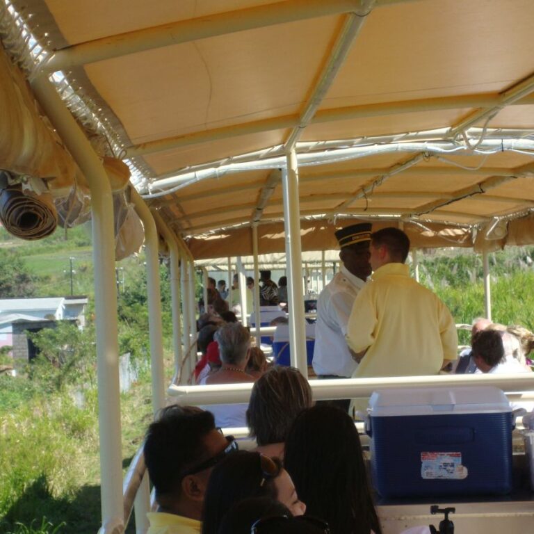 רכבת הזמירה באי קאריבי