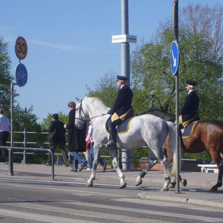 שוטרים פינים רכובים