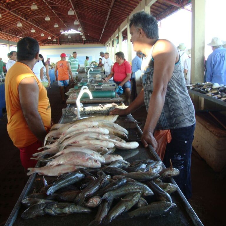 שוק דגים על גדות האמזונס