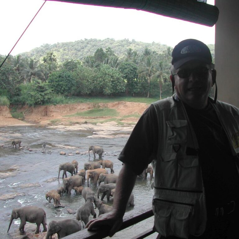 שמורת הפילים מינרייה