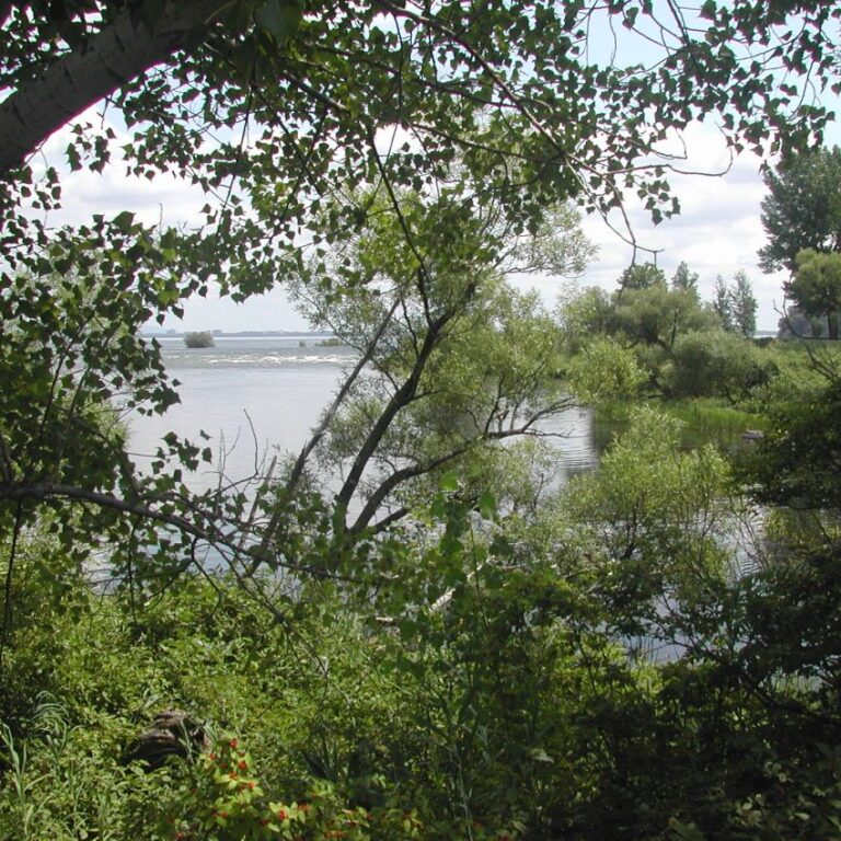 "אי הדייגים" באונטריו הממוקם בשמורה אינדיאנית