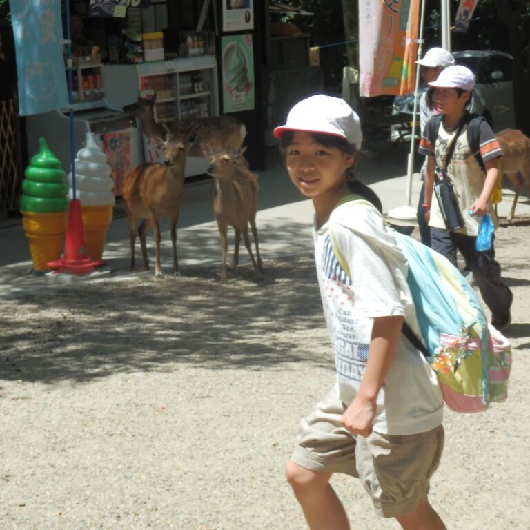 איילות ונערה בעיר נארה