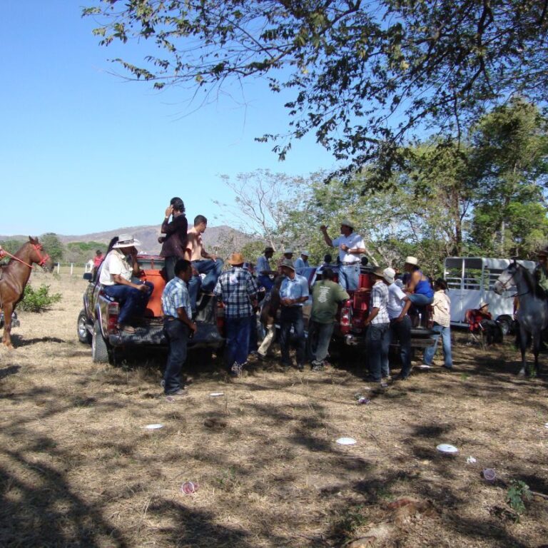 בילוי סופשבוע של המקומיים