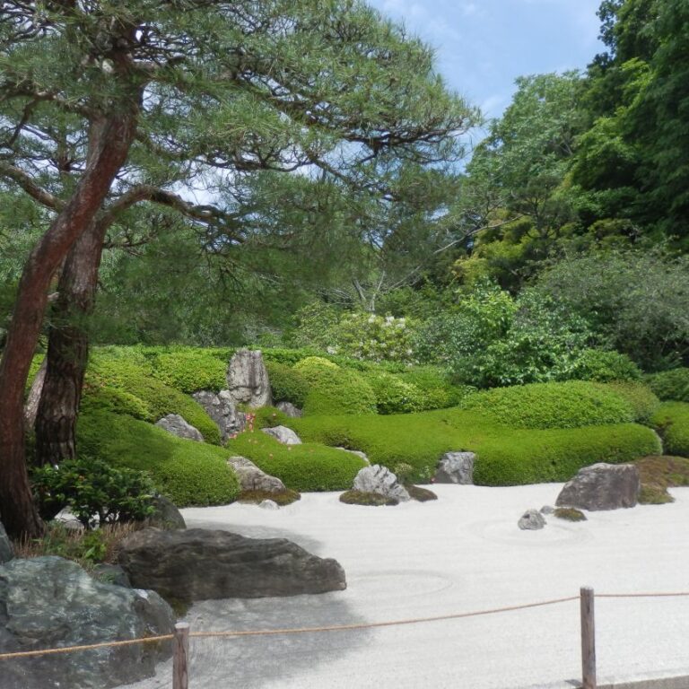 גן יפני מתוחכם