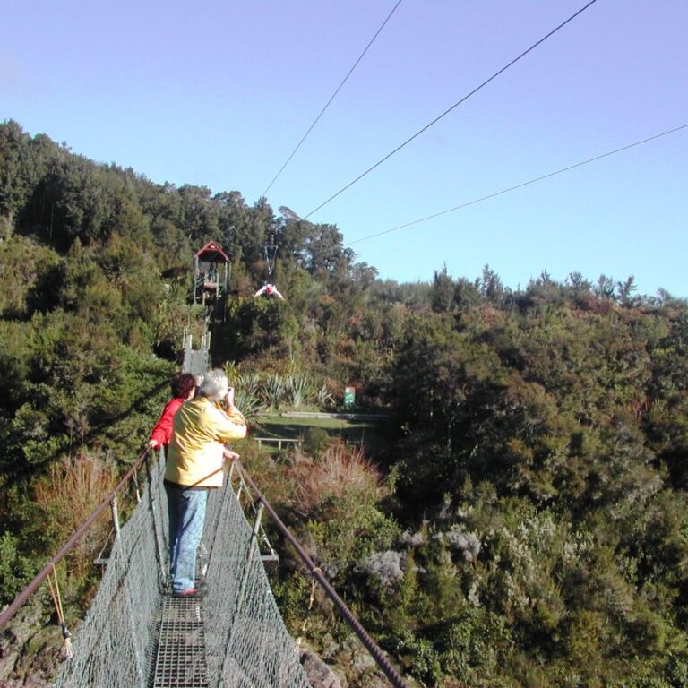 גשר תלוי בין העצים