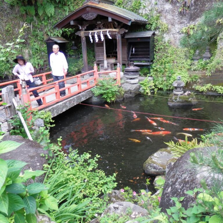 דגים במקדש יפני