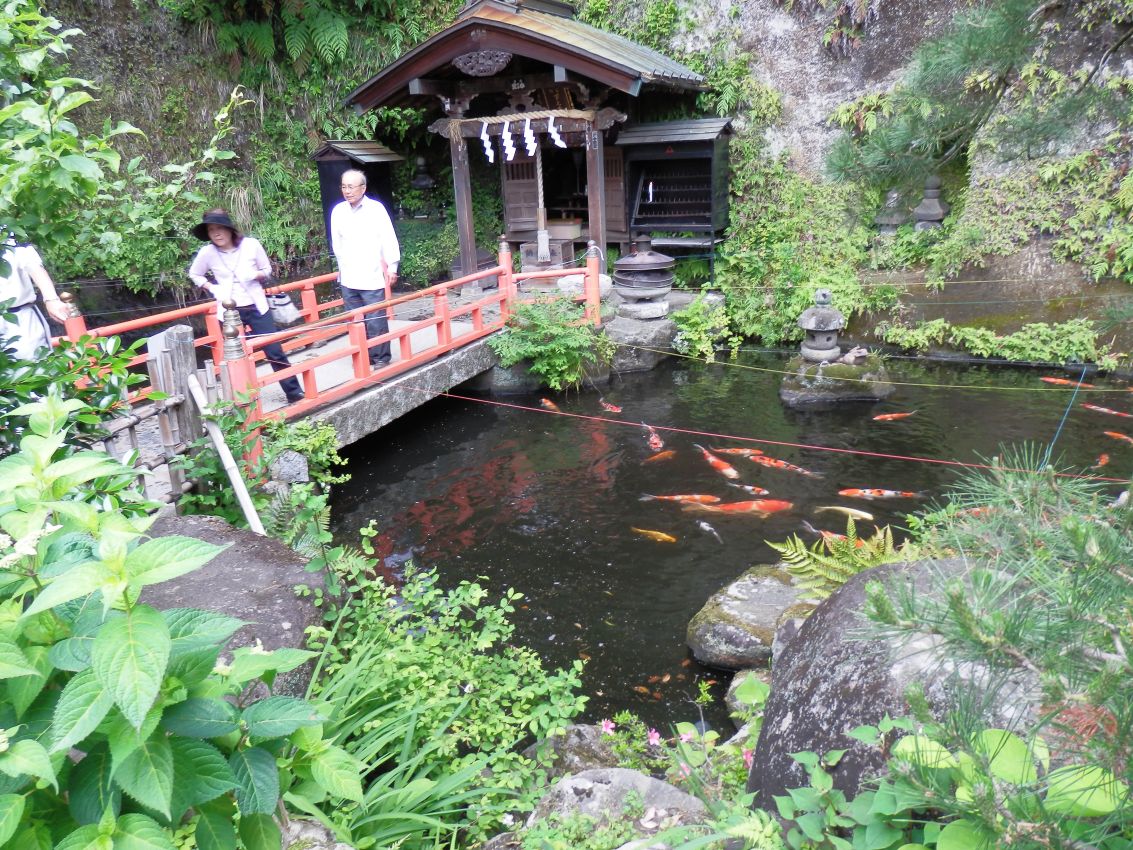 דגים במקדש יפני
