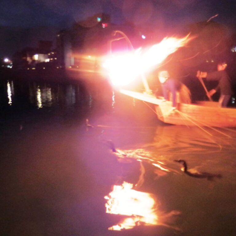 דיג לילי מסורתי בעזרת קורמרנים