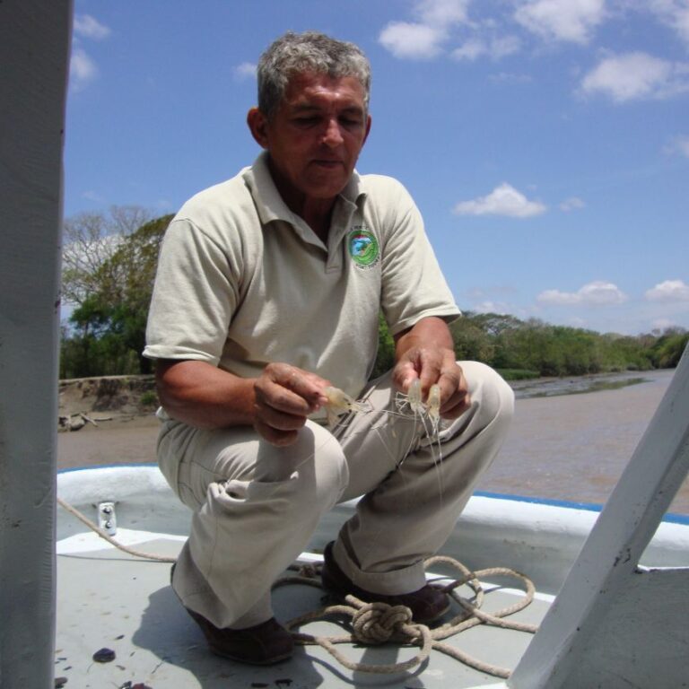 דייג מראה לנו את סוגי השרימפסים המקומיים