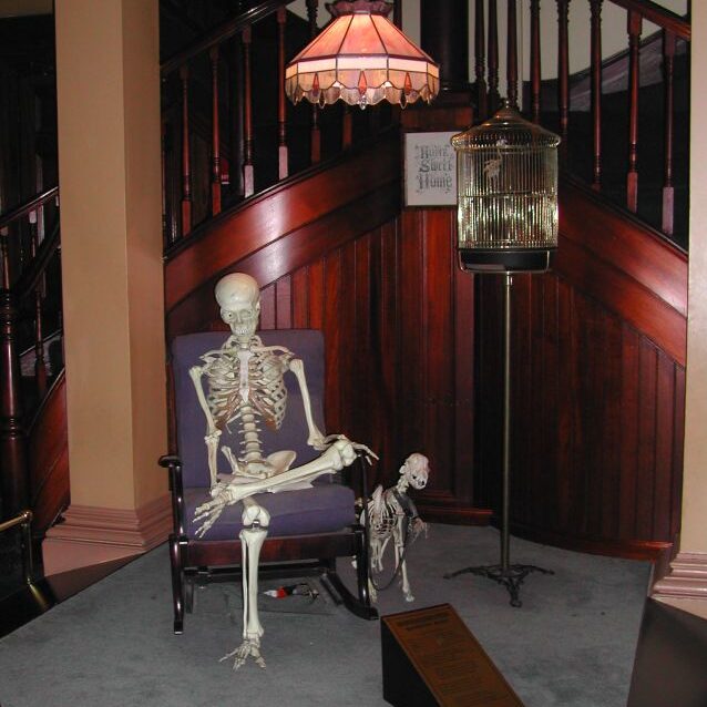 האוסטרלים ליברלים ביחס למהגרים