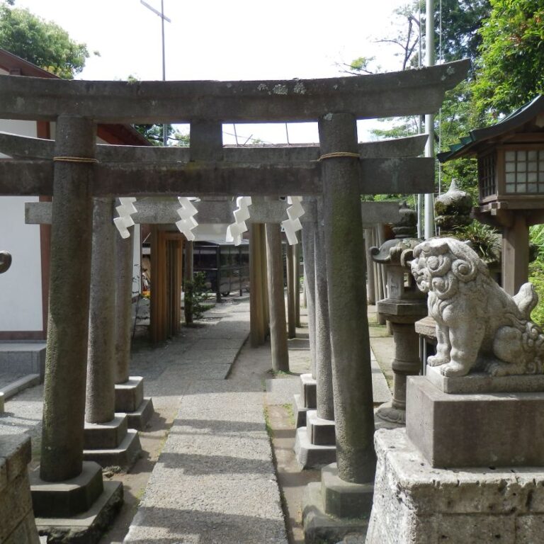 הדרך למקדש ביפן בקיוטו