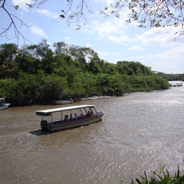 הפלגה בנהר שורץ תנינים