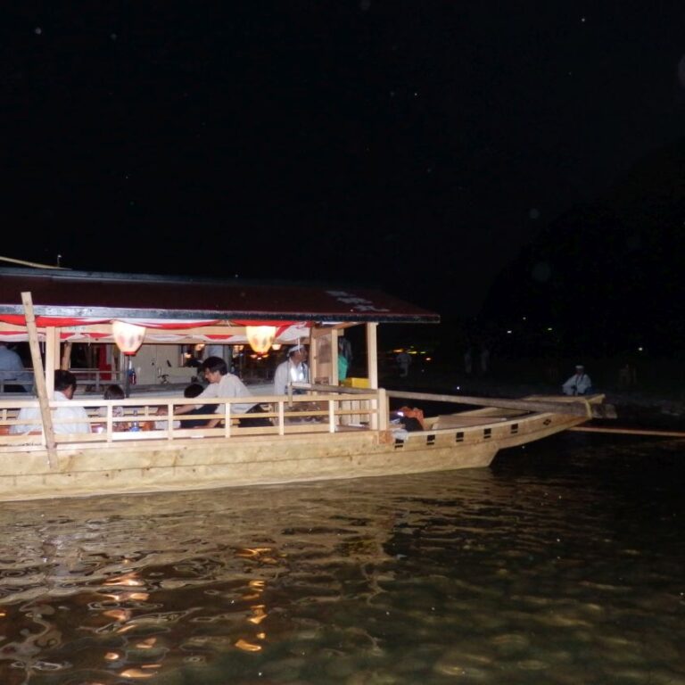 הפלגה לילית לדיג בעזרת קורמרנים