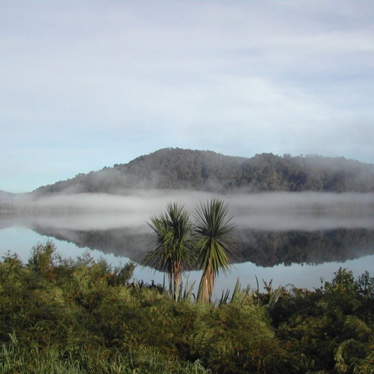 הצמחיה טרופית במרחק קצר מהקרחונים