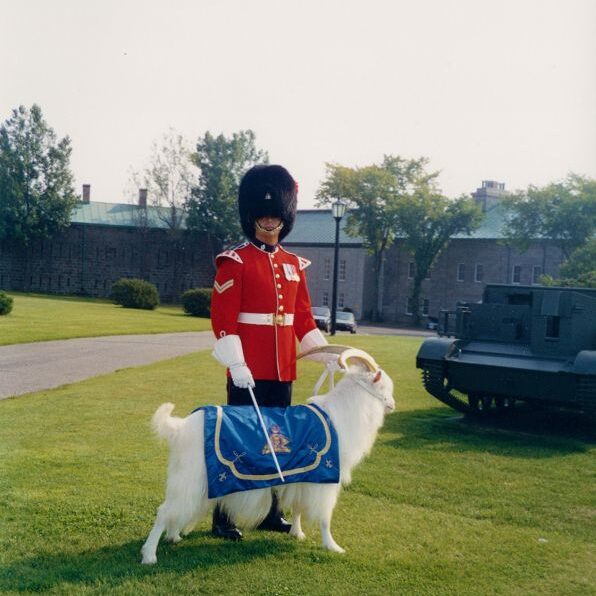 הקמיע של החיילם הקנדים בטקס החלפת המשמרות ב"קוויבק סיטי" החיילים לובשי מדים בריטים הם דוברי צרפתית