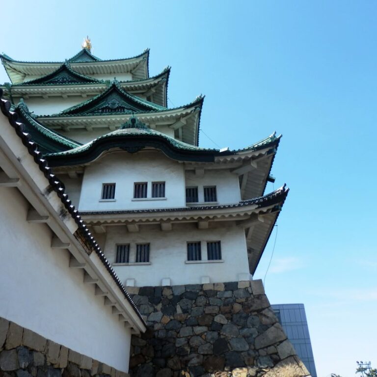 זוית אחרת של המצודה הסמארואית בעיר אמורי-טיול ביפן