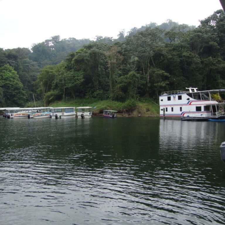 חוצים נהר במעבורת