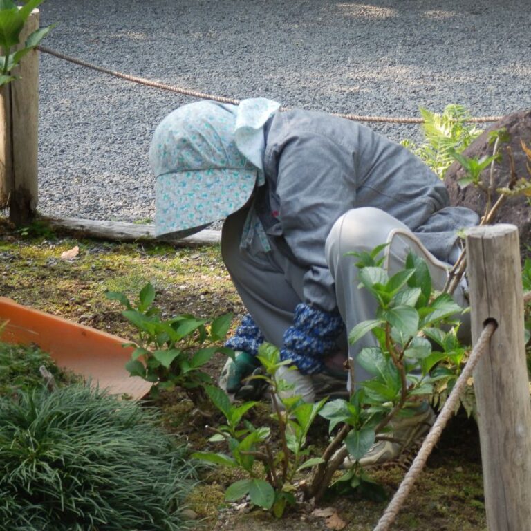 חקלאית יפנית