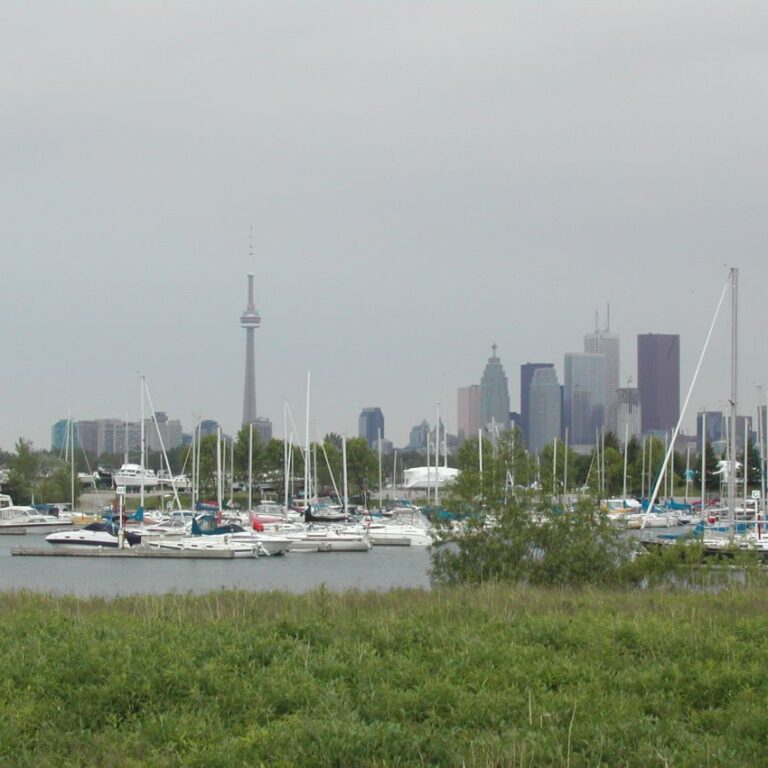 טורנטו-קו רקיע