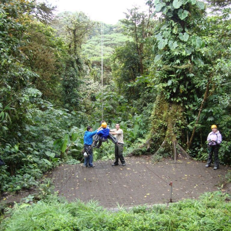 טיול באומגות על צמרות העצים