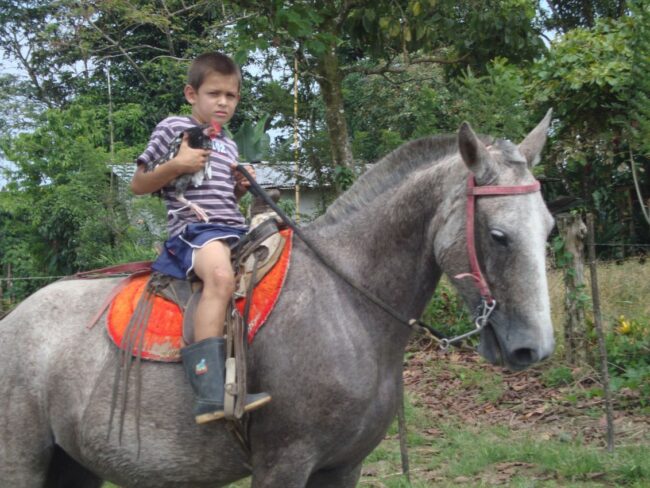 ילד קוסטה ריקני עם בז ילד קוסטה ריקני עם בז