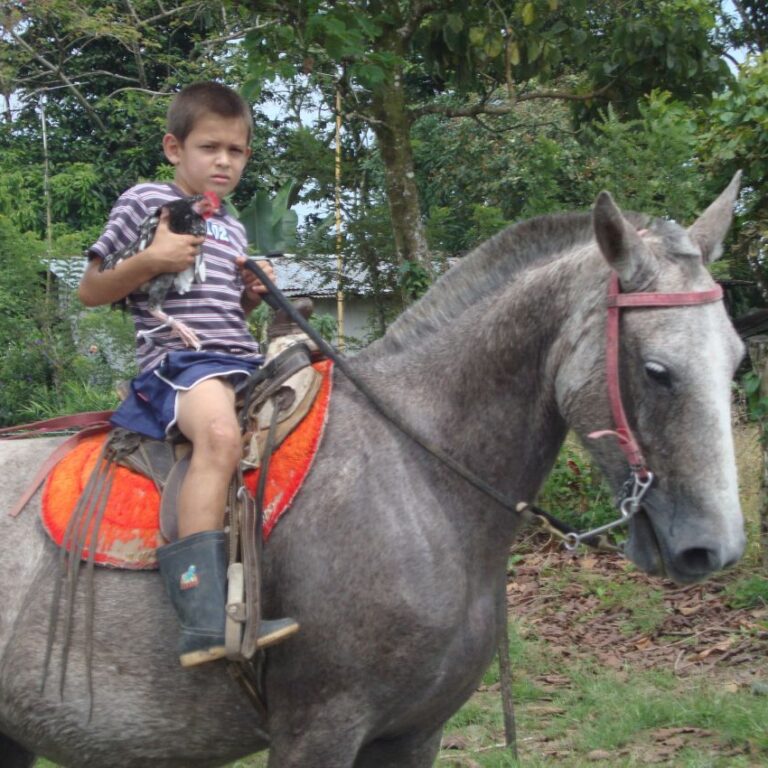 ילד קוסטה ריקני עם בז