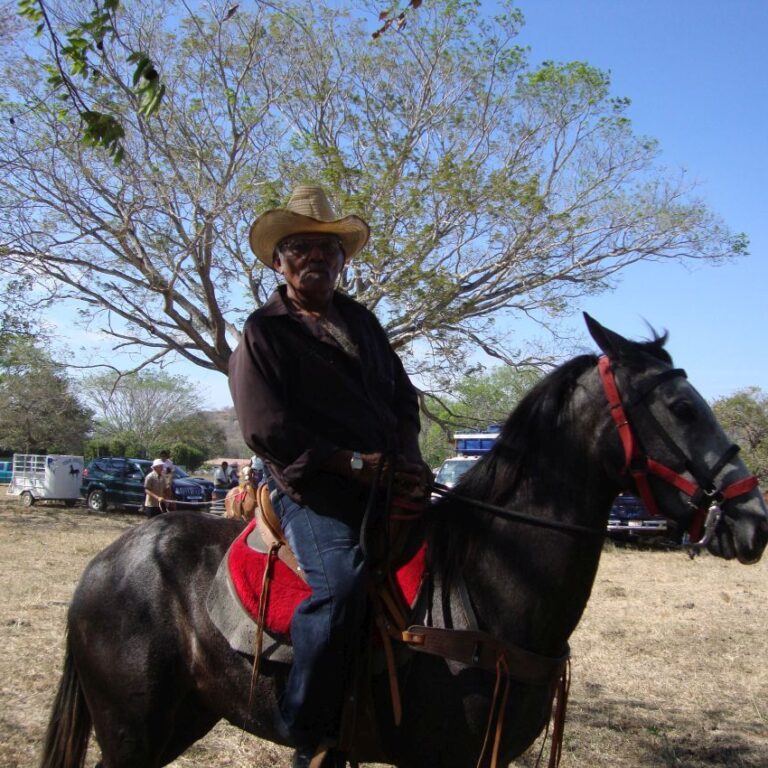 יצא ממערבון ספגטי