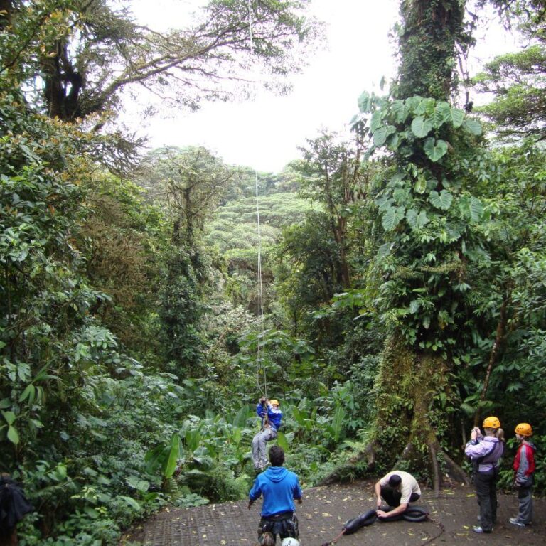 מטיילי הצמרות