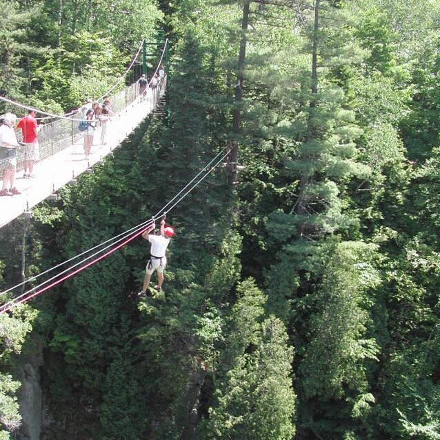 מסע על צמרות העצים בקוויבק