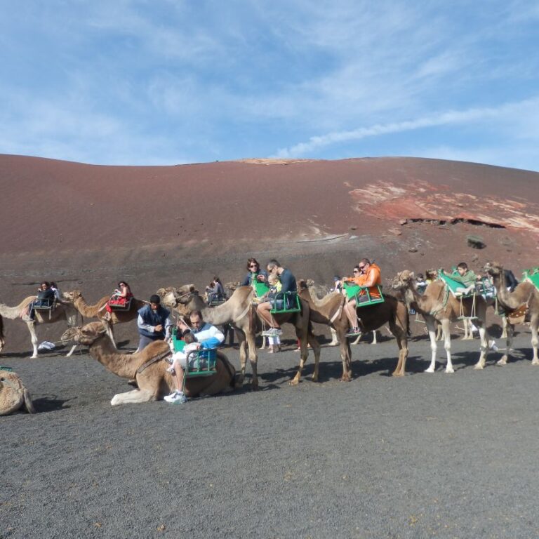 מסע רכיבה על גמלים באי לאנזרוט
