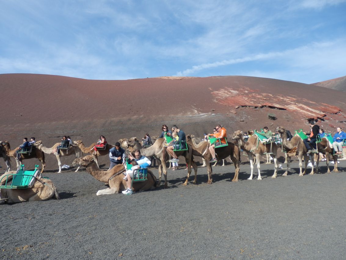 מסע רכיבה על גמלים באי לאנזרוט