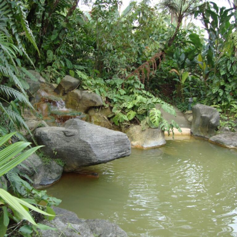 מעינות חמים ממינרלים שונים לרגלי הר הגעש ארנל