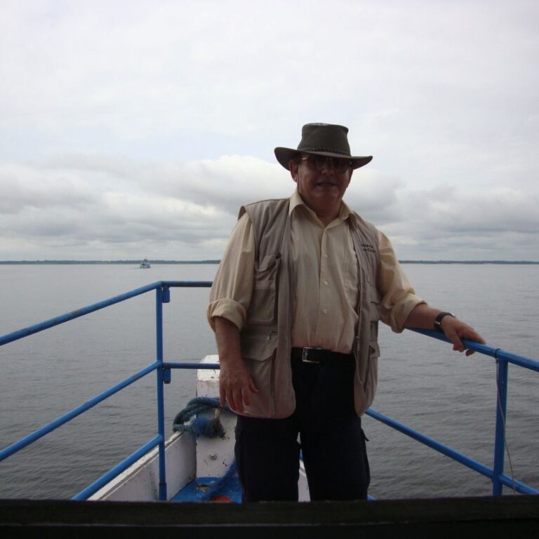 מראה מעל הגשר