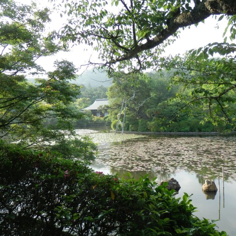 מראה של פארק יפני