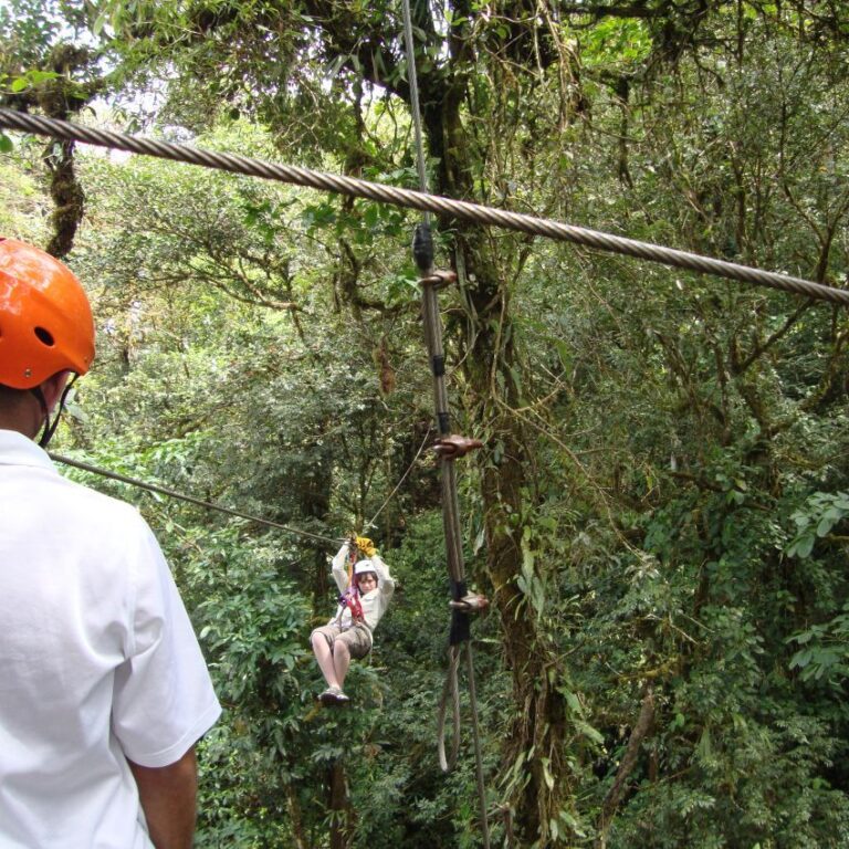 מרחפים מעל הצמרות
