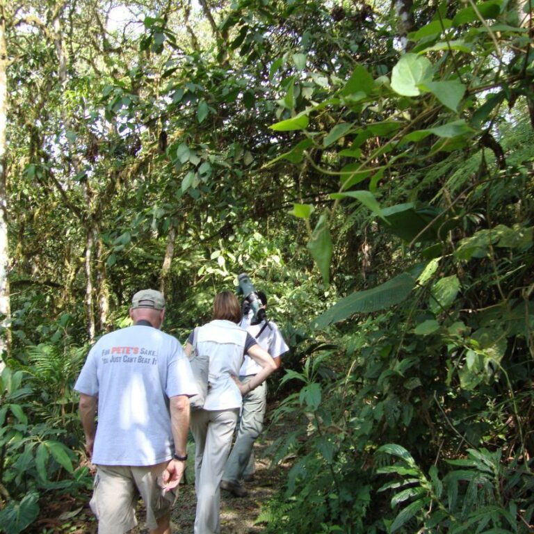 משוטטים בג'ונגל המקומי