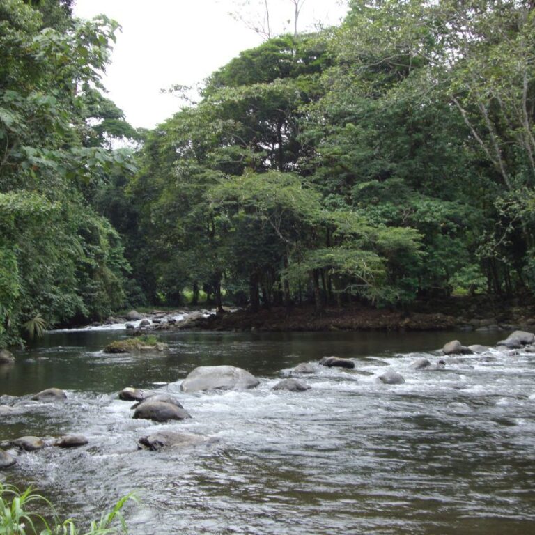 נהר בקוסטה ריקה