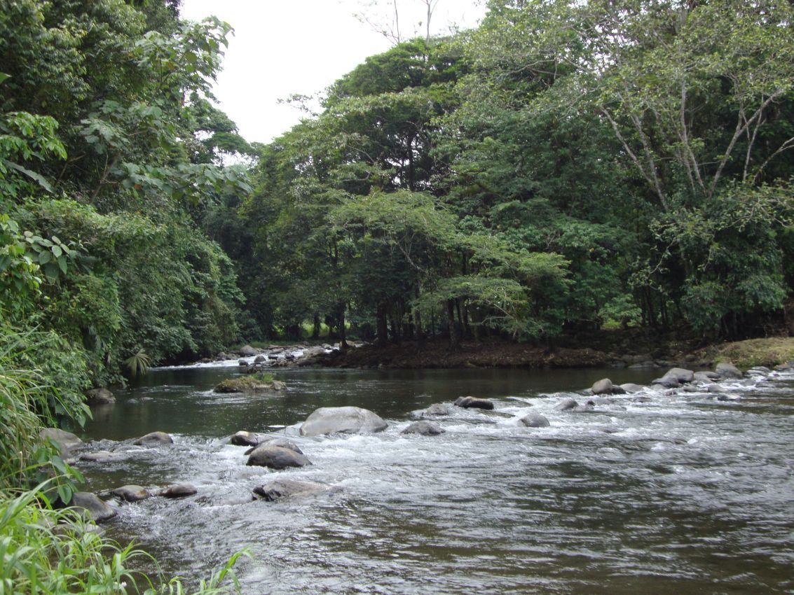 נהר בקוסטה ריקה
