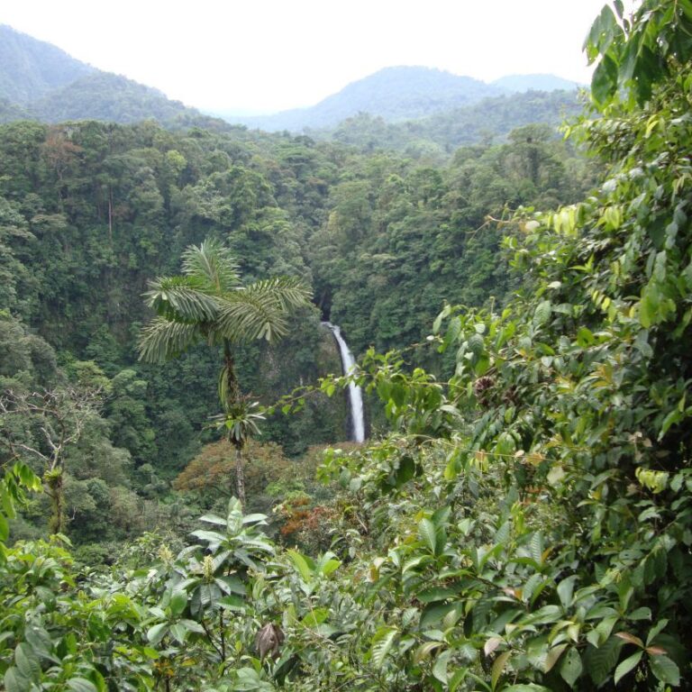 נוף בקוסטה ריקה (2)